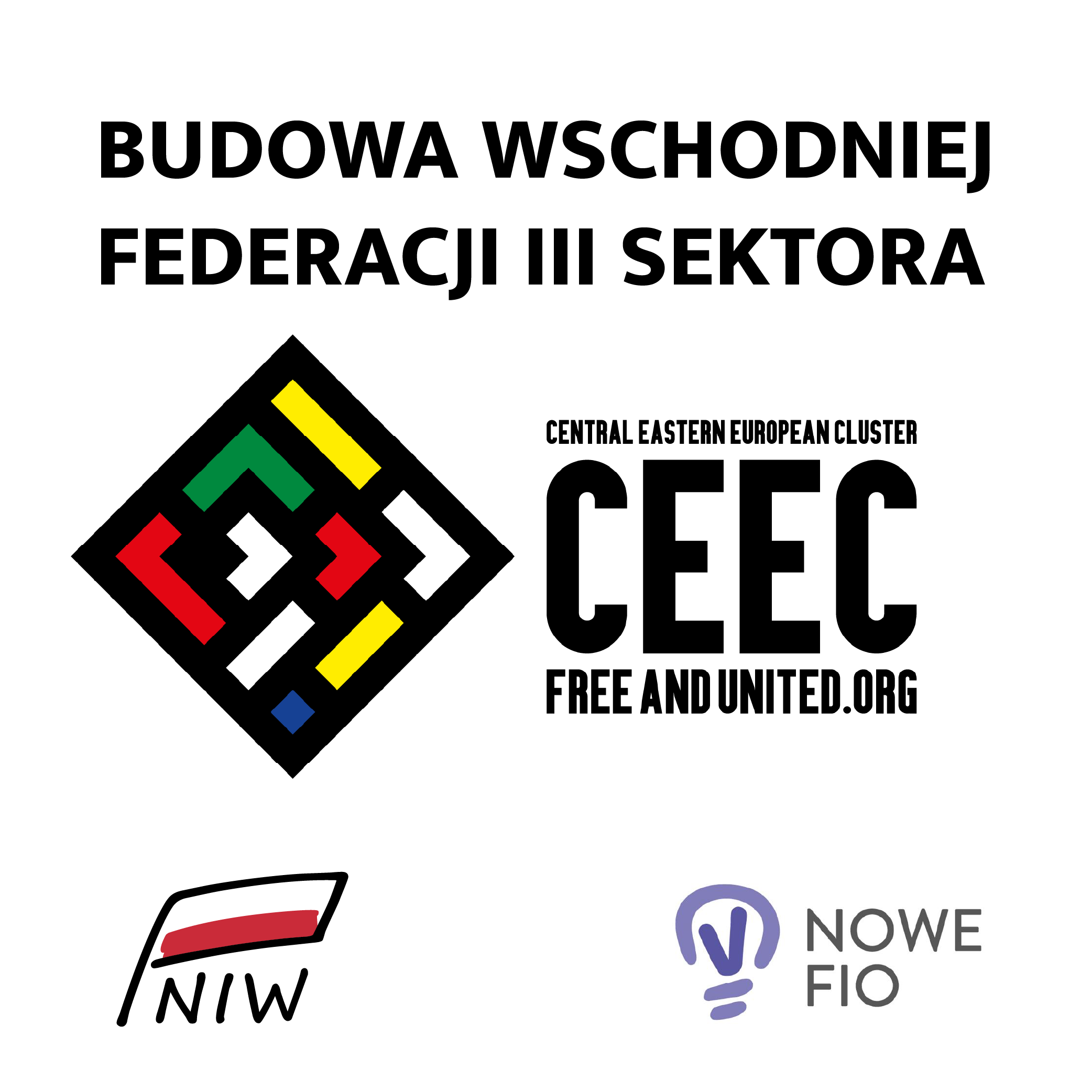 Budowa Wschodniej Federacji III Sektora